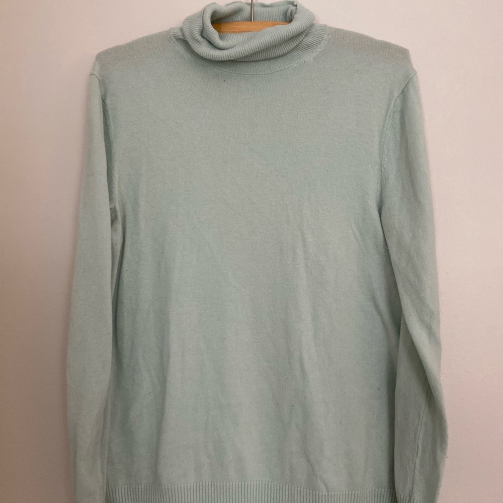 GAP | Merino Wool Eversoft turtleneck sweater